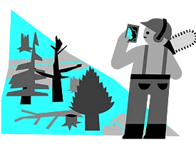 Bergfichtenwälder als Hotspots der Extreme 